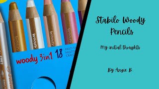 My initial thought on Stabilo Woody Pencils