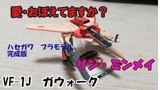 マクロス　プラモデル　VF-1D　全塗装　ハセガワ