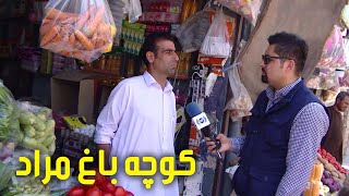 #ArianaHerat - report from Baghi Murad Alley / گزارش سلیمی مقیمی از کوچه باغ مراد در هرات