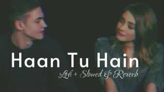 Haan Tu Hain ( Slowed & Reverb ) Jannat | Emraan Hashmi, KK | Lofi Mix