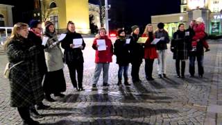 Flash Mob Kainuu: Kuulkaa korpeimme hätähuutoa, Tampereen osasto