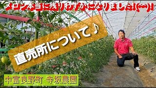 直売所について・メロンが終了間近【中富良野町・寺坂農園・産地直送・農チューバー・観光地・お土産】