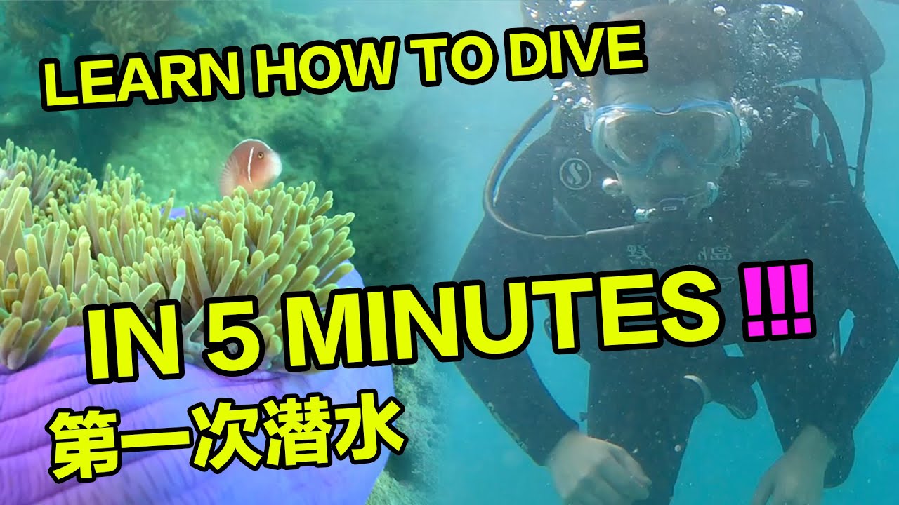I Learn To Scuba Dive In Under 5 Mins No Lessons Youtube