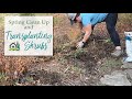 Spring Clean Up and Transplanting Beautyberry and Sunshine Ligustrum - 🌳🍂🧤👩🏻‍🌾