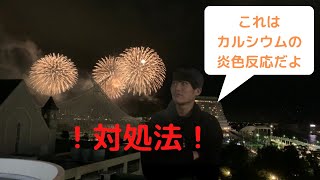 花火大会でイキって炎色反応の話する奴をボコボコにする方法