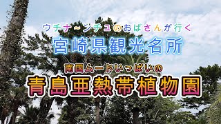 【宮崎観光】｜宮崎県青島神社近く「青島亜熱帯植物園」をのんびり散歩してきたよ!!