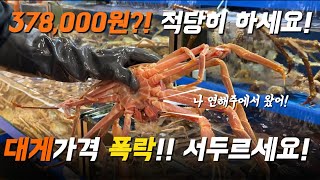 대게가격 더 오르기전에 서두르세요!