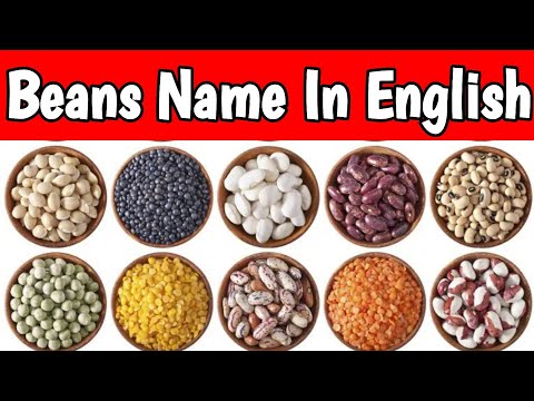 What is Mampayar in English?