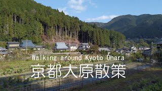 京都大原散策　京都市2020　Walking around Kyoto Ohara (Kyoto Japan)