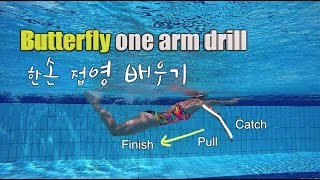 이현진 수영) 타이밍 맞추기 좋은 한손접영 배우기 / How to butterfly stroke