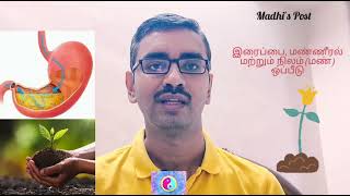 இரைப்பை மற்றும் நிலம் (மண்) ஒப்பீடு | Stomach, Spleen and Earth(Soil) Similarities