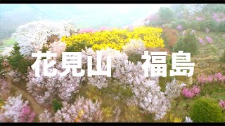 【空の旅#63】「さくらの山・満開！その２」空撮・多胡光純 花見山公園_Fukushima aerial