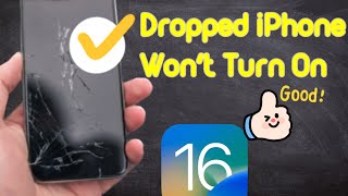 [2024] How to Fix Dropped iPhone Won't Turn On -- iPhone X/11/12/13/14