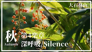 ASHIMUI　第４楽章　深呼吸/Silence　(日本語) ～大石林山 星が運んだ物語～　The story of our sacred place