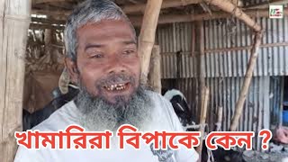 গ্রামের ক্ষুদ্র খামারিরা বিপাকে কেন বিস্তারিত জানুন দেখুন। dairy farming