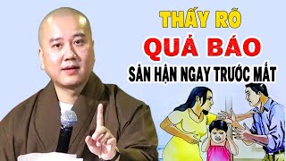 Thấy Rõ Nhân Quả ''Nghiệp Sân Hận'' Ngay Trước Mắt - Thầy Thích Pháp Hòa