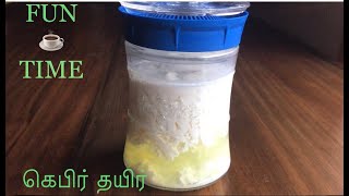 கெபிர் தயிர் எப்படி செய்வது/ How to make kefir/ Healthy probiotic drink