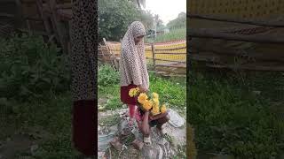 দাদার মাথায় ফুল দিই 😃😃😃😃#shorts 😂😂😂😂#funnyvideo