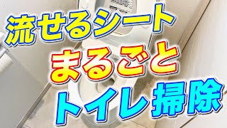 【洗剤いらず】流せるトイレシート1枚でトイレ室内から便器までまるごと掃除してみた！