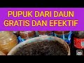 PUPUK PORANG GRATIS DAN EFEKTIF