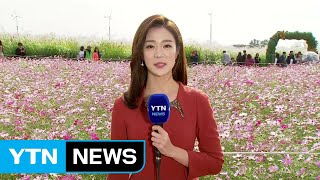 [날씨] 맑고 추위 점차 풀려...주말엔 선선한 가을 / YTN