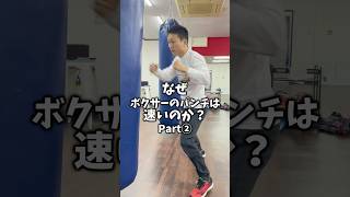 なぜボクサーのパンチは速いのか？Part②#ボクシング #ボクシングテクニック #ボクシング初心者