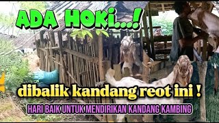 Hari baik untuk mendirikan kandang kambing ! Kandangnya biasa kambingnya luar biasa || ilmu Jawa