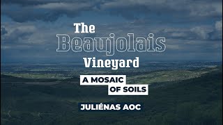 Juliénas : The Beaujolais Vineyard, a Mosaic of Soils