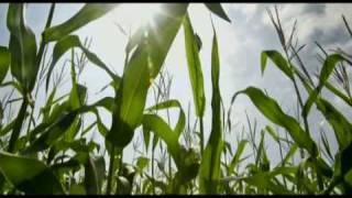 Enhanced by Ethanol (Widescreen) - Growth Energy