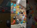 ボルダリング日記🧗🏻抱石日記 17062024 v4 その四 @campus climbing