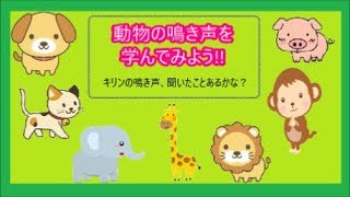 【子供向け　知能】動物の鳴き声を聞いて学んでみよう!!★パパママお助けｃｈ★