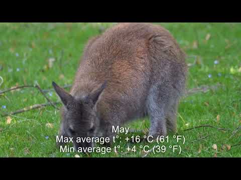 What season is it in Sydney Australia in January?