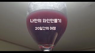 나만의 와인만들기 - 20일간의 여정  Making My Own Wine - 20 Days Journey