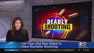 2 Shootings, Including One Fatal, Rock New Rochelle