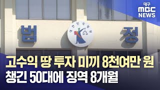 고수익 땅 투자 미끼 8천여만 원 챙긴 50대에 징역 8개월 | 대구MBC뉴스