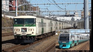 新子安駅を通過して行く特急「踊り子号」185系 ＆「スーパービュー踊り子号」251系