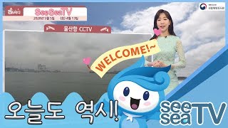 [See Sea TV] 2020년 5월 5일 서해안 일부 해무주의, 동해남부와 남해동부 일부 지역 바람 강해요 / 해양방송 On바다