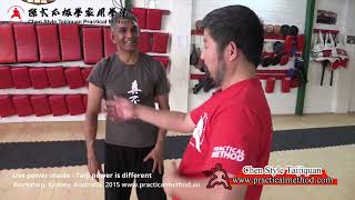 Use power inside - Taiji power is different. Master Chen Zhonghua