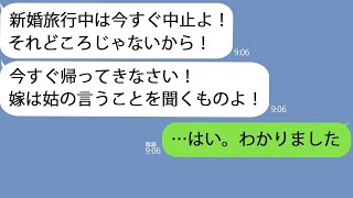 【LINE】新婚旅行中に姑｢今すぐ逃げた方がいい！命が危ないから！｣→意図がわからなかったけど、私は義母の指示に従った結果…【総集編】