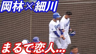 岡林勇希 と細川成也、恋人のように腕を組んでいる姿が目撃される 中日ドラゴンズ沖縄キャンプ 2023/02/15 現地