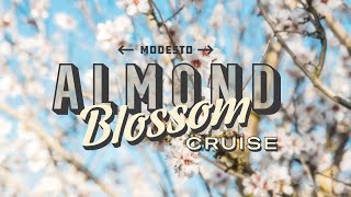 Almond Blossom Cruise | Modesto, California