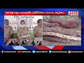 ఎర్రచందనం దొంగల ముఠా అరెస్ట్ red sandalwood smuggling gang arrested in ananthapuram mahaa news