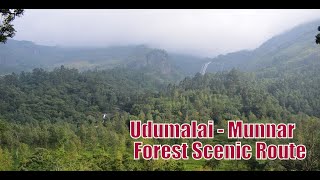 Udumalpet to Munnar Road Trip | Forest Scenic Route | Episode 1