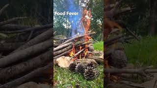 Fire - Food Fever