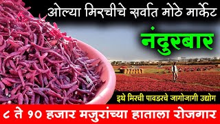 ओल्या मिरचीचे मार्केट नंदुरबार | Mirchi Market Nandurbar | Chilli Powder Udyog Nandurbar | Shivar