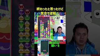 終わったと思ったけど気合で逆転！【ぷよぷよeスポーツ】#Shorts