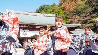 [4K]京都チーム「櫻嵐洛」　龍馬よさこい 2017 1日目 龍馬演舞場(中央)