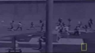 California Prison Riot(s) SATF & Ironwood
