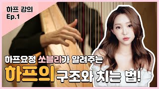 [하프독학| 하프레슨]1. 하프의 구조와 명칭