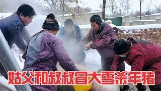 叔叔姑父冒大雪宰年猪，婆婆惦记要给爷爷小姑子分肉，公爹不同意